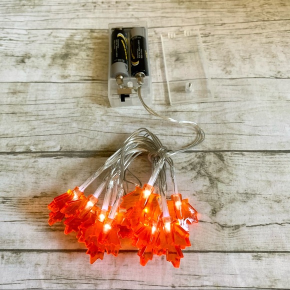 ✨4/$25✨ LED String Lights - Fall Leaves - 10 Lights - Picture 6 of 6